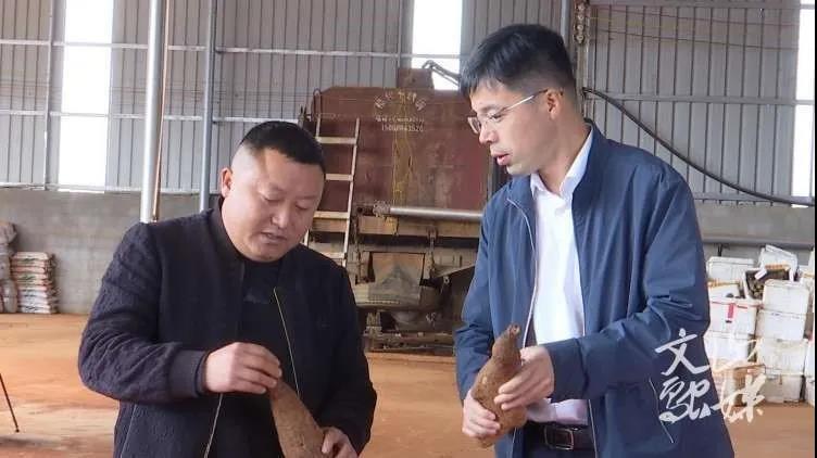 尊龙凯时人生就是搏 -官网首页