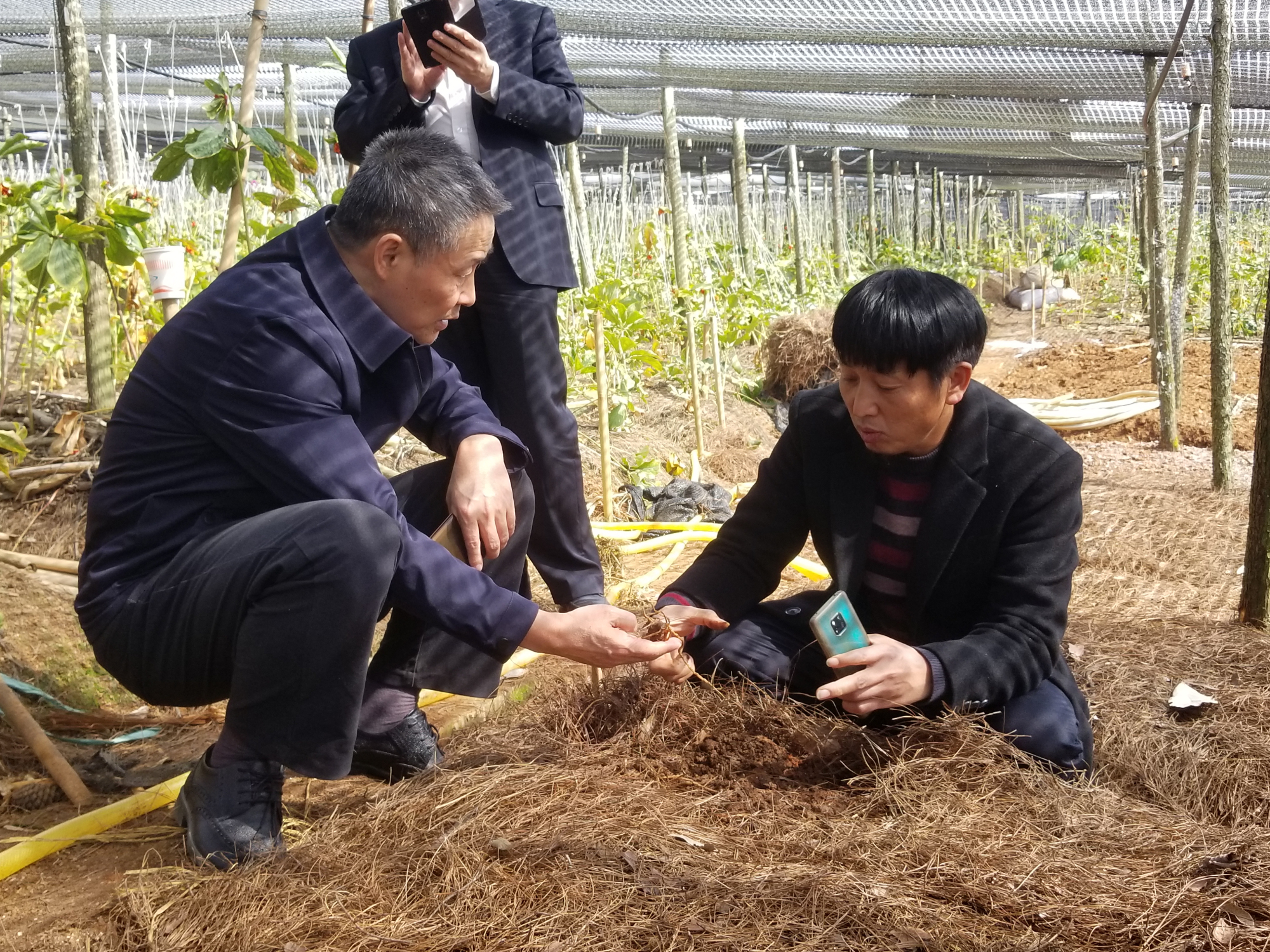 尊龙凯时人生就是搏 -官网首页